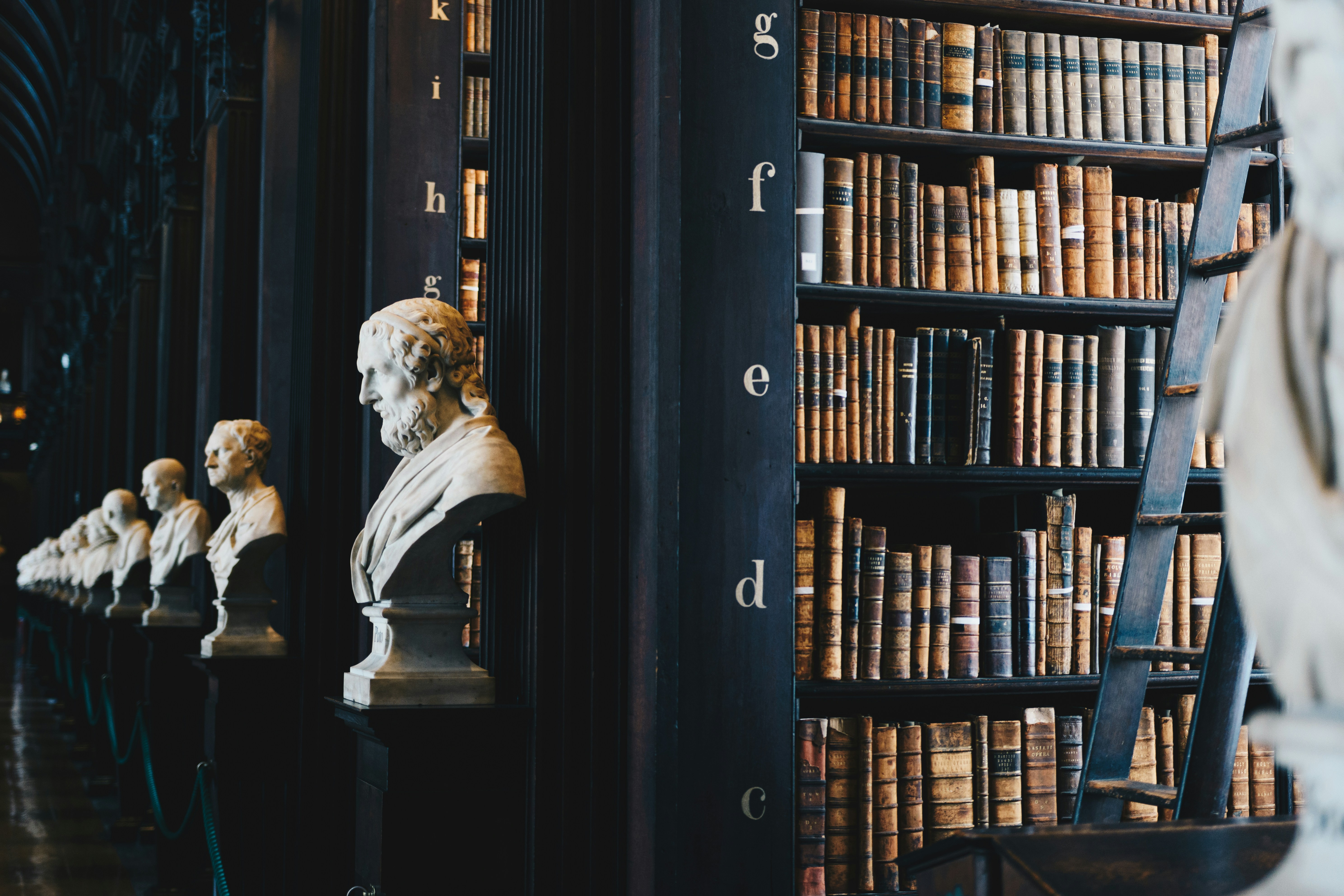 About SF Lawyers
